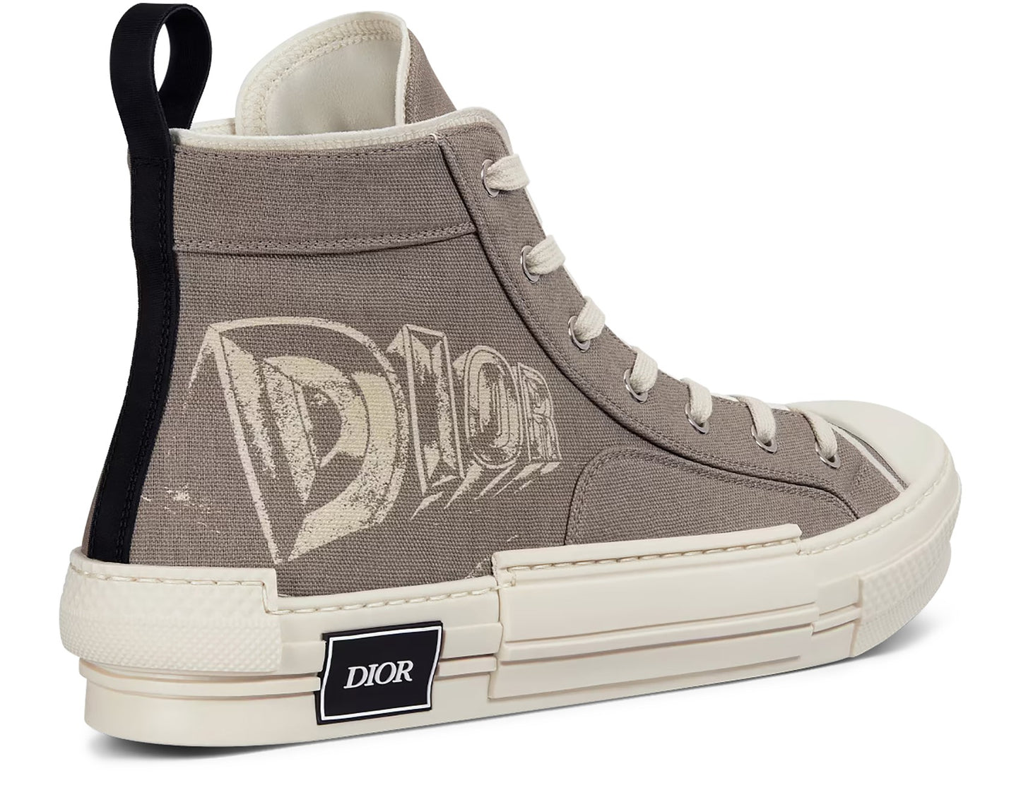 DIOR B23 High-Top Sneaker