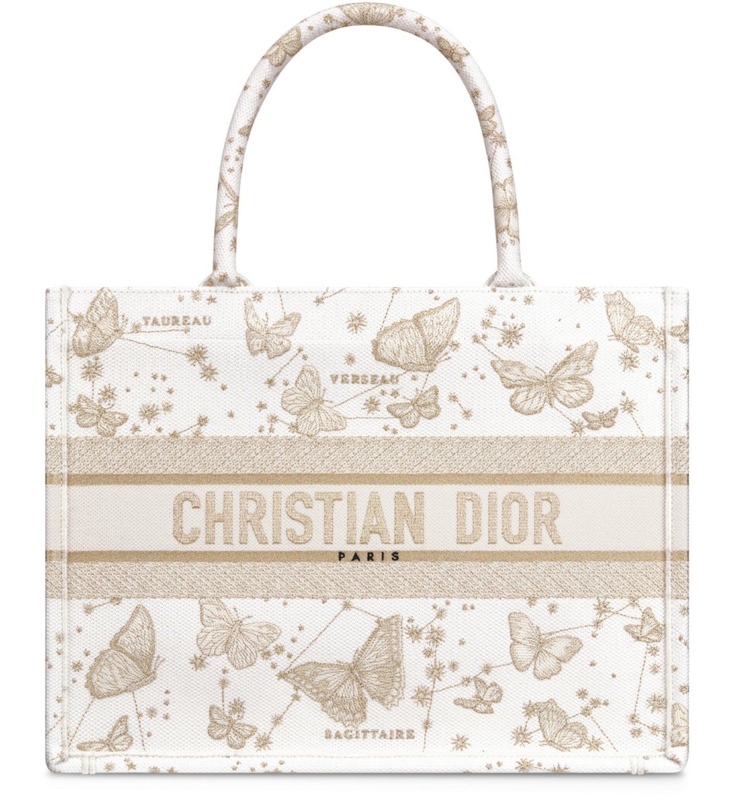 DIOR Dior Book Tote Bag