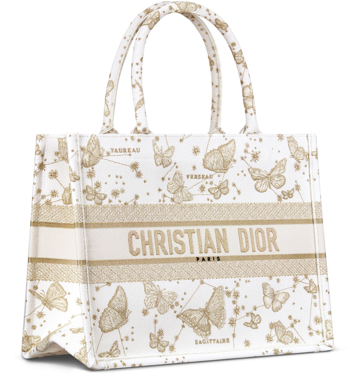 DIOR Dior Book Tote Bag