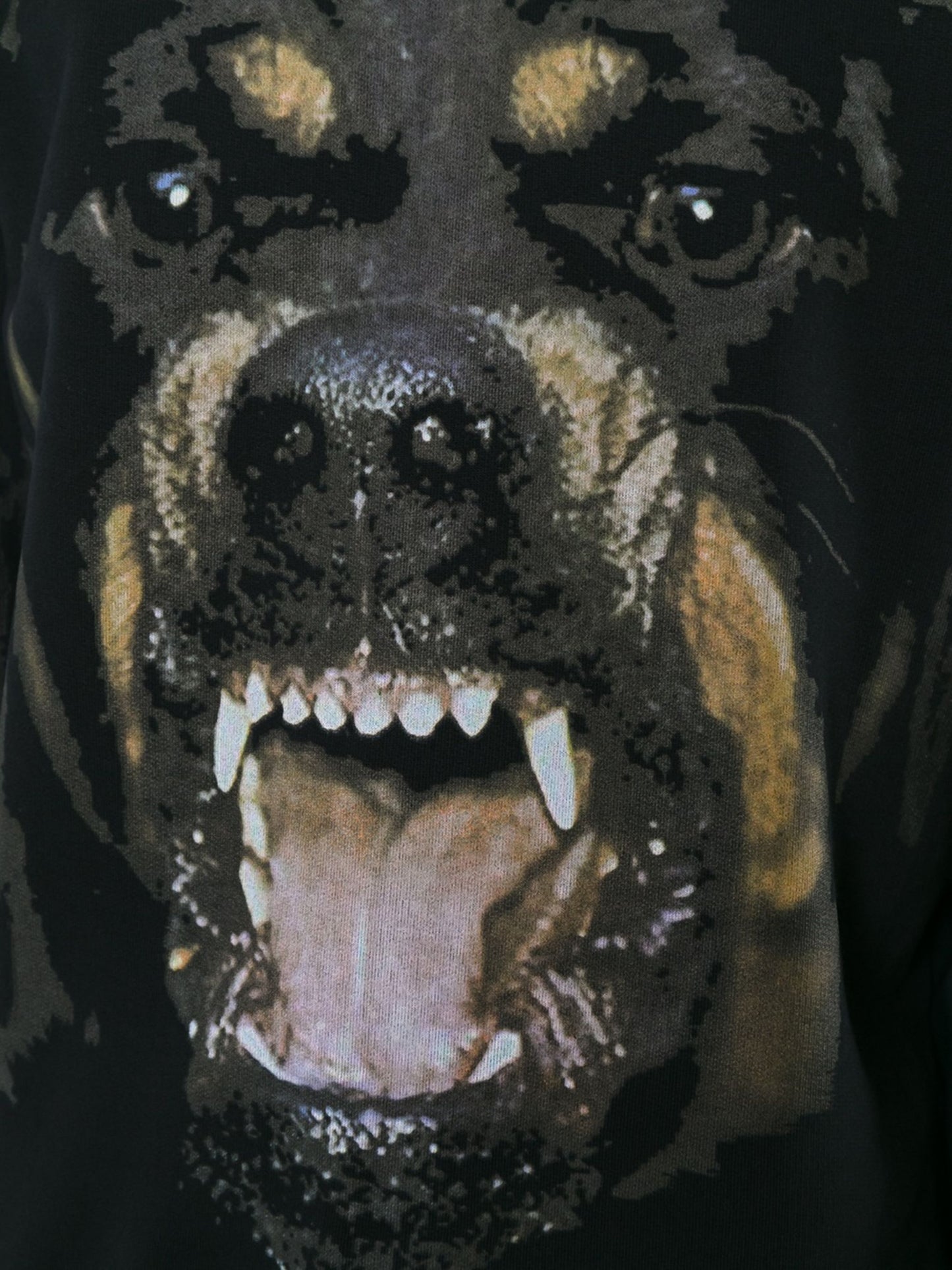 Givenchy rottweiler print sweatshirt