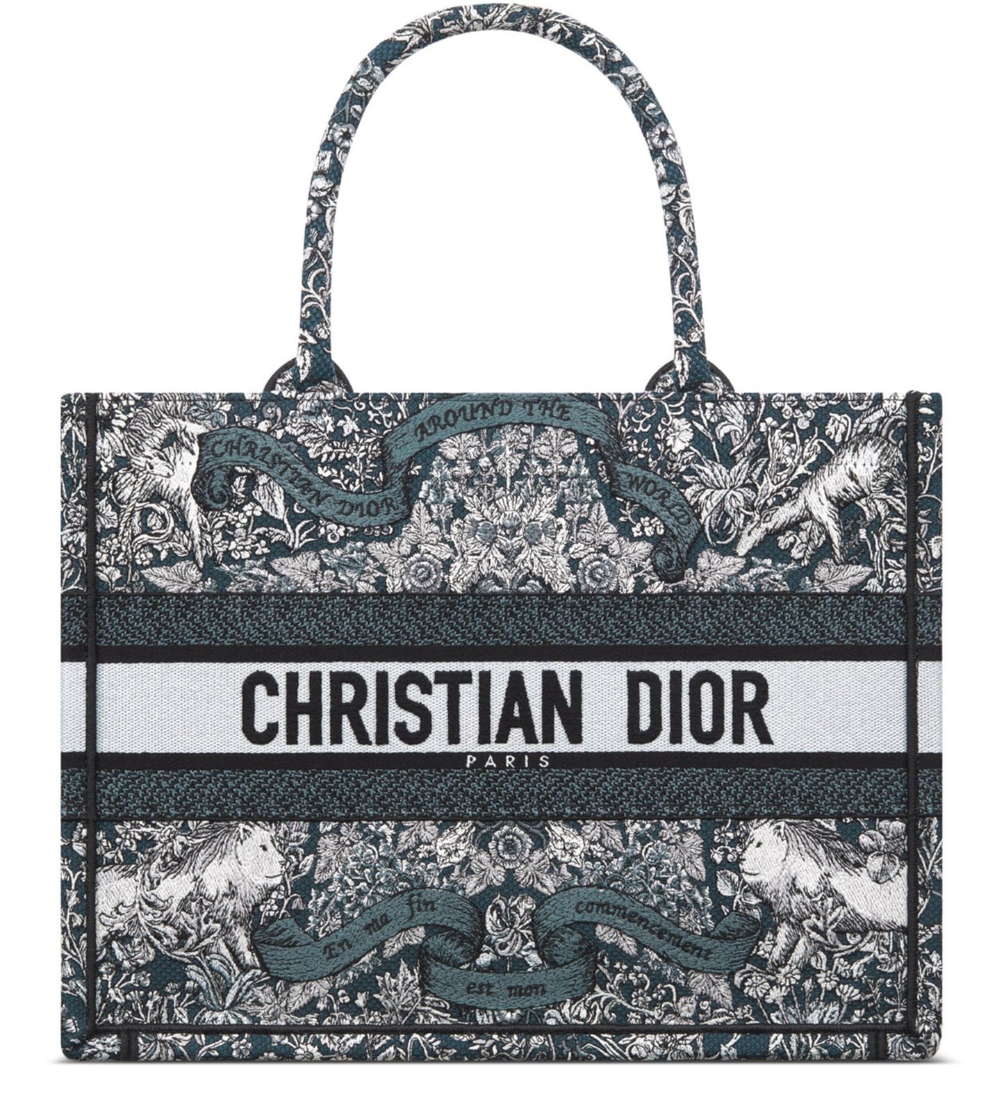 DIOR Medium Dior Book Tote