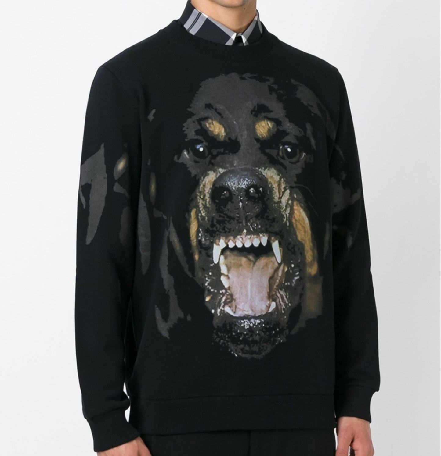 Givenchy rottweiler print sweatshirt